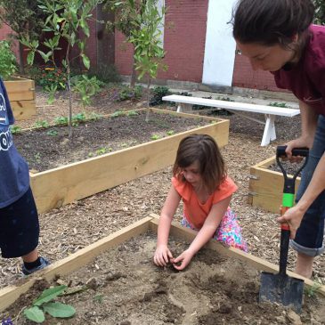 Youth tend to gardens for summer employment